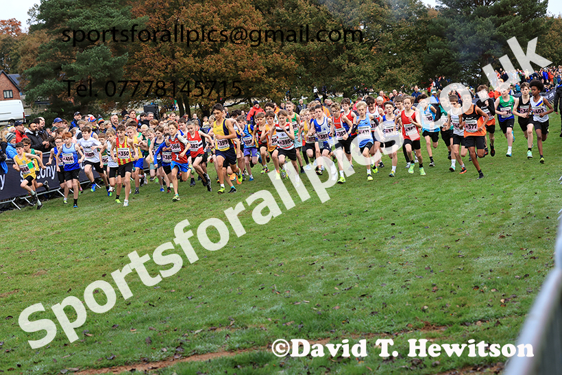 Boys Under-13s 2024 National Cross Country Relays, Berry Hill Park, Mansfield.   Photo: David T. Hewitson/Sports for All Pic